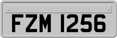FZM1256