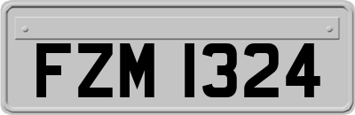 FZM1324