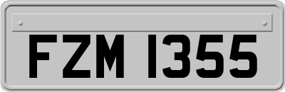 FZM1355