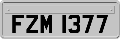 FZM1377