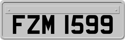FZM1599