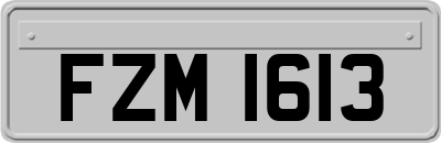FZM1613
