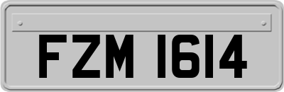 FZM1614