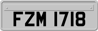 FZM1718