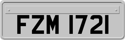 FZM1721