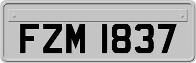 FZM1837