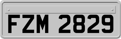 FZM2829