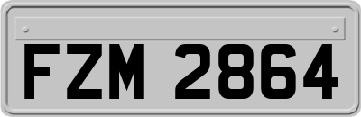 FZM2864