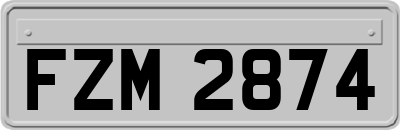 FZM2874