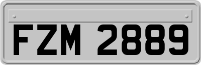 FZM2889