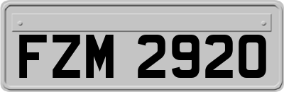 FZM2920