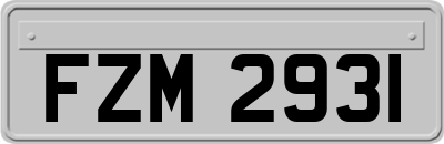 FZM2931