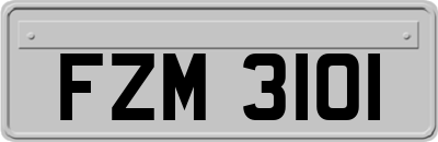 FZM3101