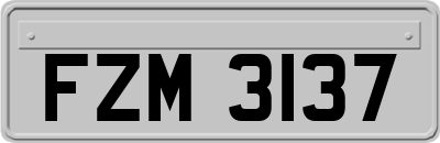 FZM3137