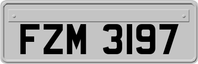 FZM3197