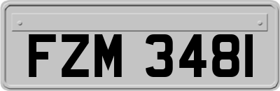 FZM3481
