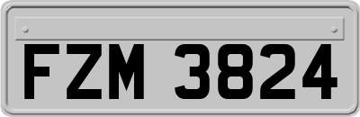 FZM3824