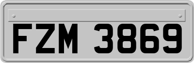 FZM3869