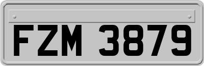FZM3879