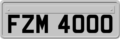 FZM4000