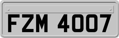 FZM4007