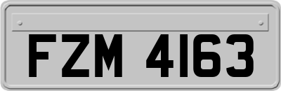 FZM4163