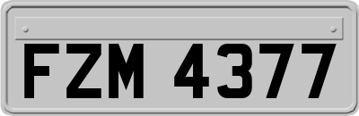 FZM4377
