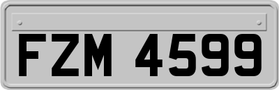 FZM4599