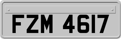 FZM4617