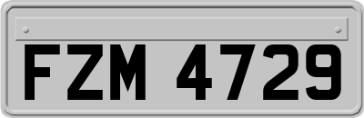 FZM4729