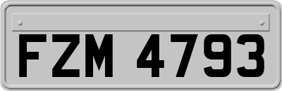 FZM4793