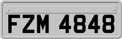 FZM4848