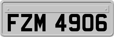 FZM4906