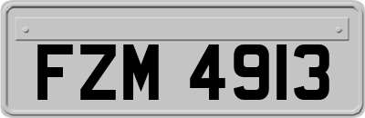FZM4913