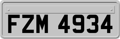 FZM4934