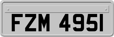 FZM4951