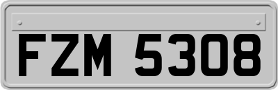 FZM5308