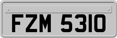 FZM5310