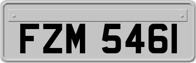 FZM5461