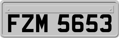 FZM5653