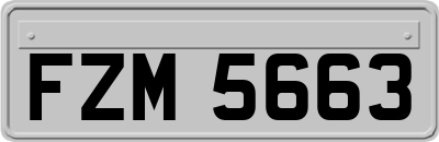 FZM5663
