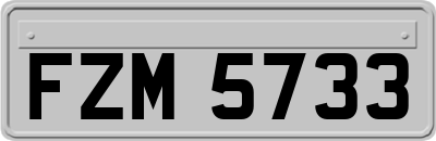 FZM5733