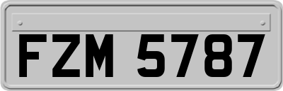 FZM5787
