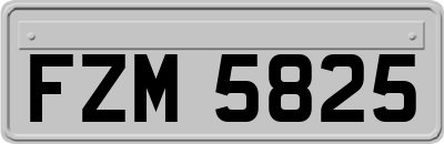 FZM5825