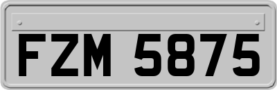FZM5875