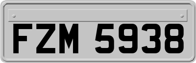 FZM5938