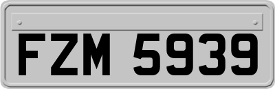 FZM5939