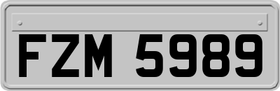 FZM5989