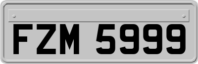 FZM5999