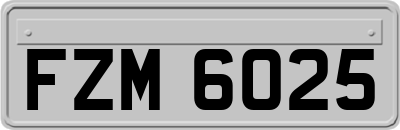 FZM6025